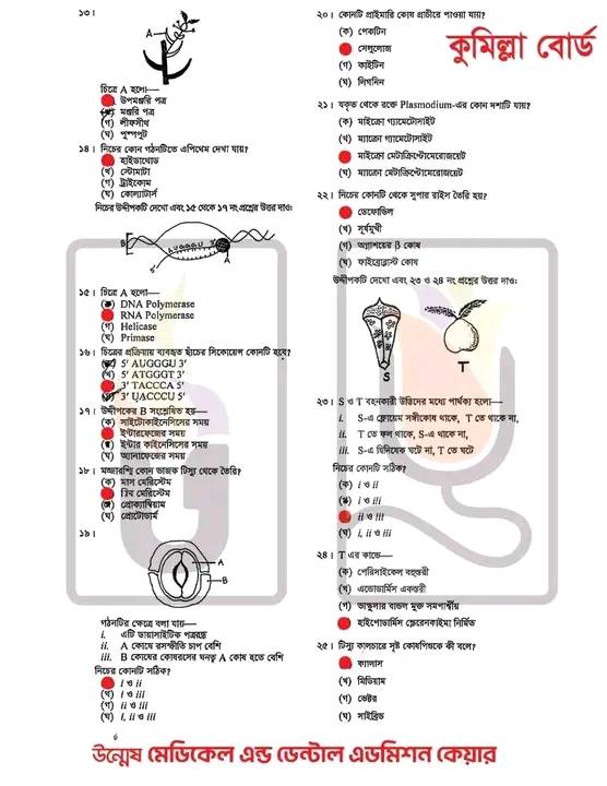 Comilla Board HSC জীববিজ্ঞান MCQ উত্তর ২০২৫
