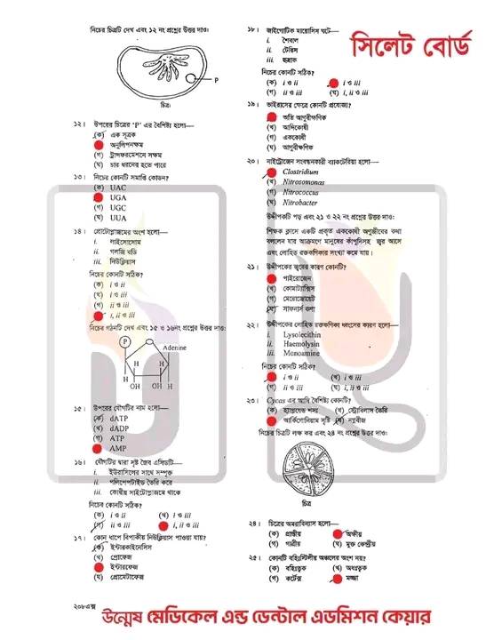 Sylhet Board HSC Biology MCQ সমাধান ২০২৫