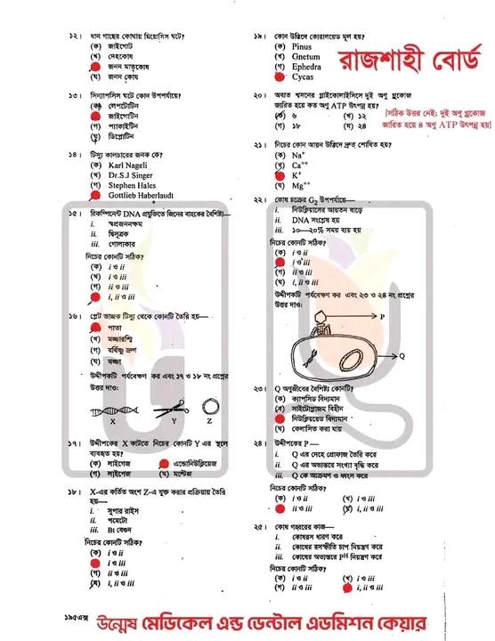 রাজশাহী বোর্ড HSC Biology MCQ সমাধান ২০২৫